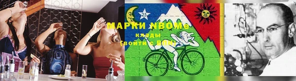стафф Алексин