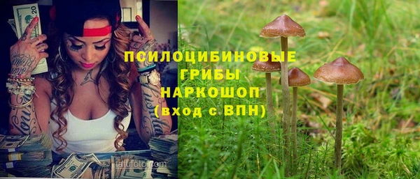 стафф Алексин