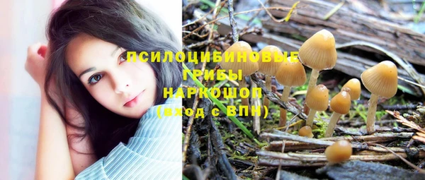spice Алексеевка