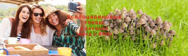 стафф Алексин