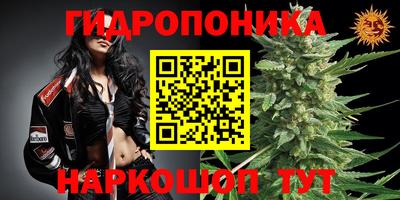 ешки Гай