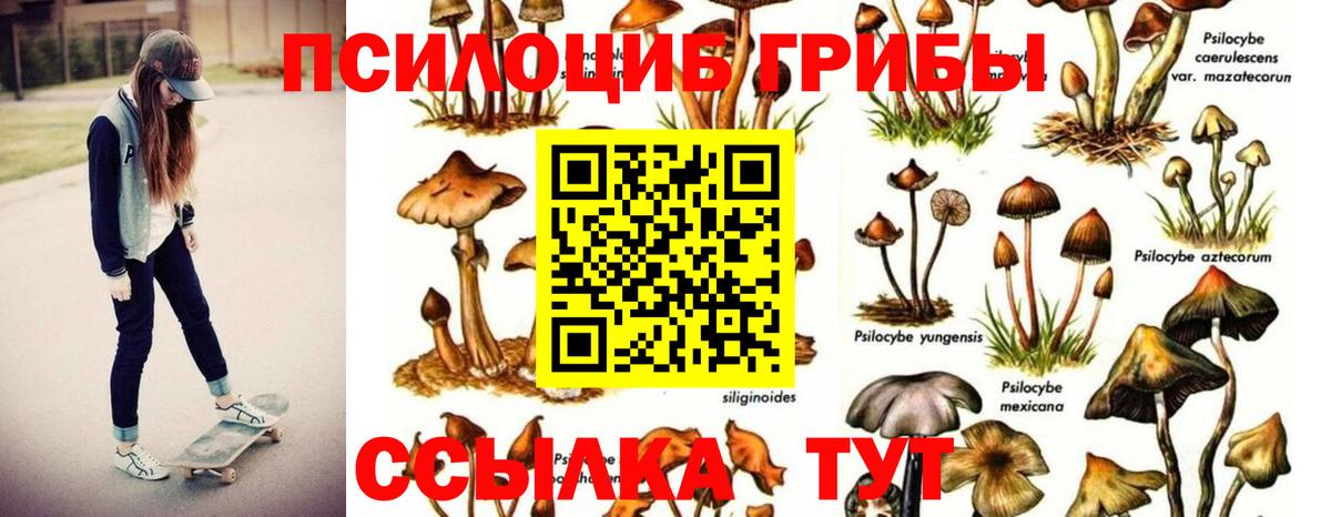 Псилоцибиновые грибы GOLDEN TEACHER  Вход с VPN  Каменка 