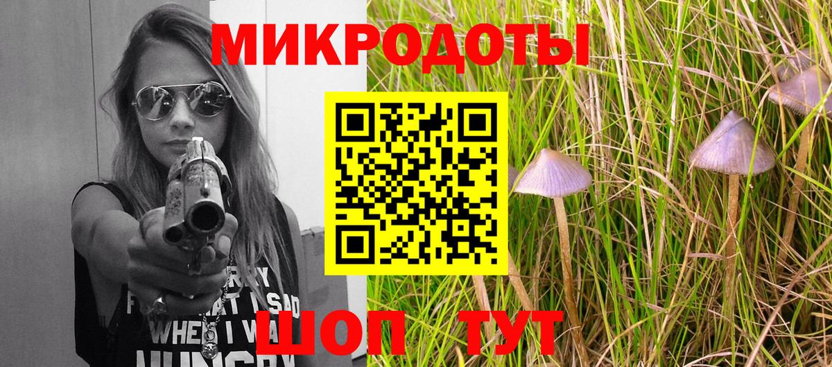 Галлюциногенные грибы Psilocybe Каменка